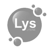 LYS