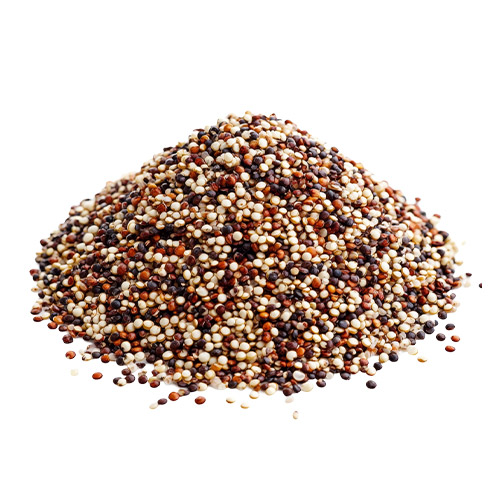 Quinoa