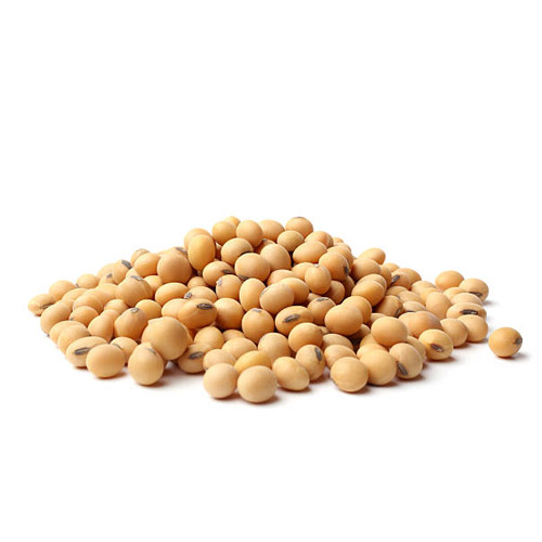 Soy Protein